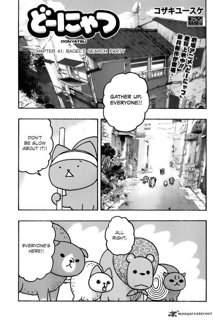 Donyatsu 41 2
