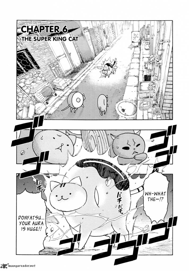 Donyatsu 6 2