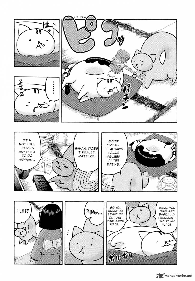 Donyatsu 6 5