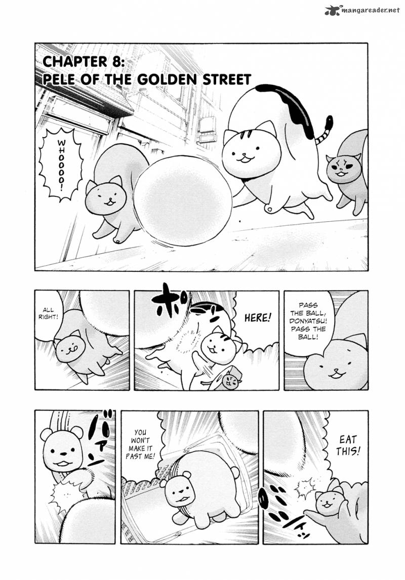 Donyatsu 8 2