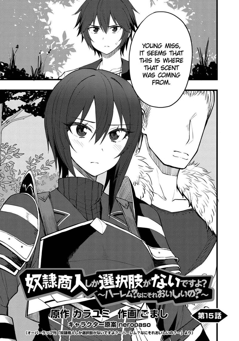 Dorei Shounin Shika Sentakushi Ga Nai Desu Yo Harem Nani Sore OishII No 15 1