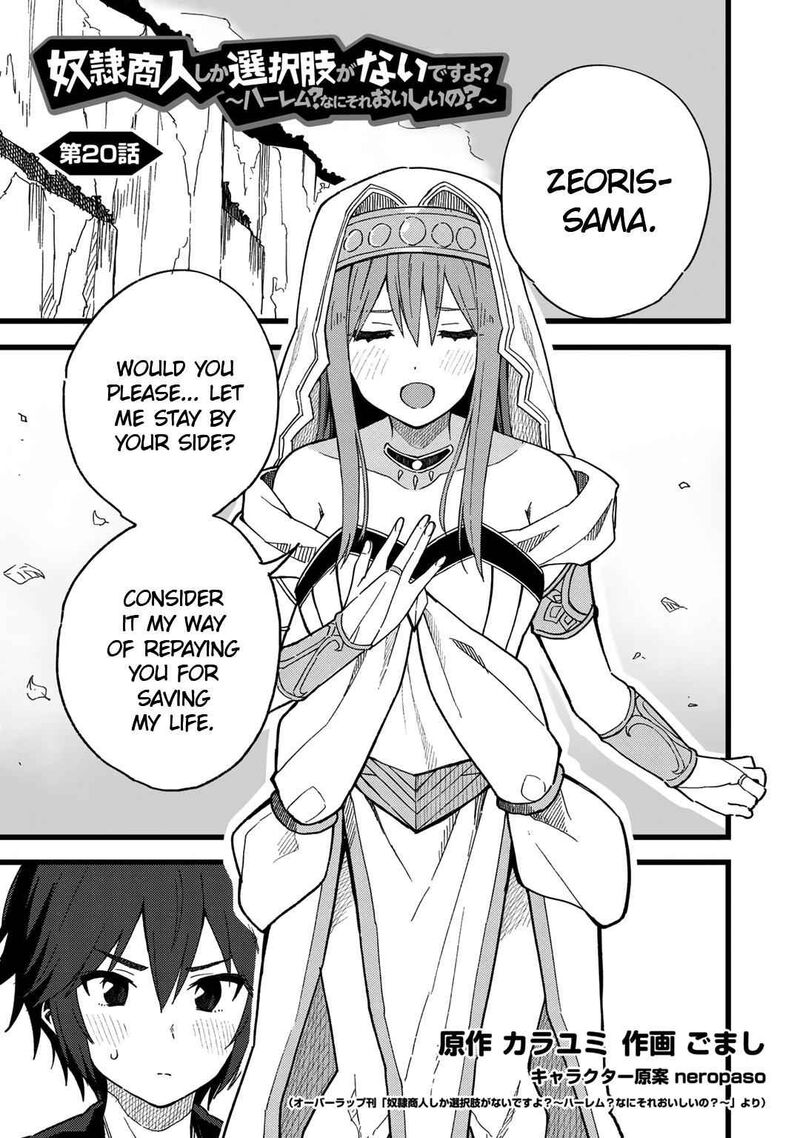 Dorei Shounin Shika Sentakushi Ga Nai Desu Yo Harem Nani Sore OishII No 20 1