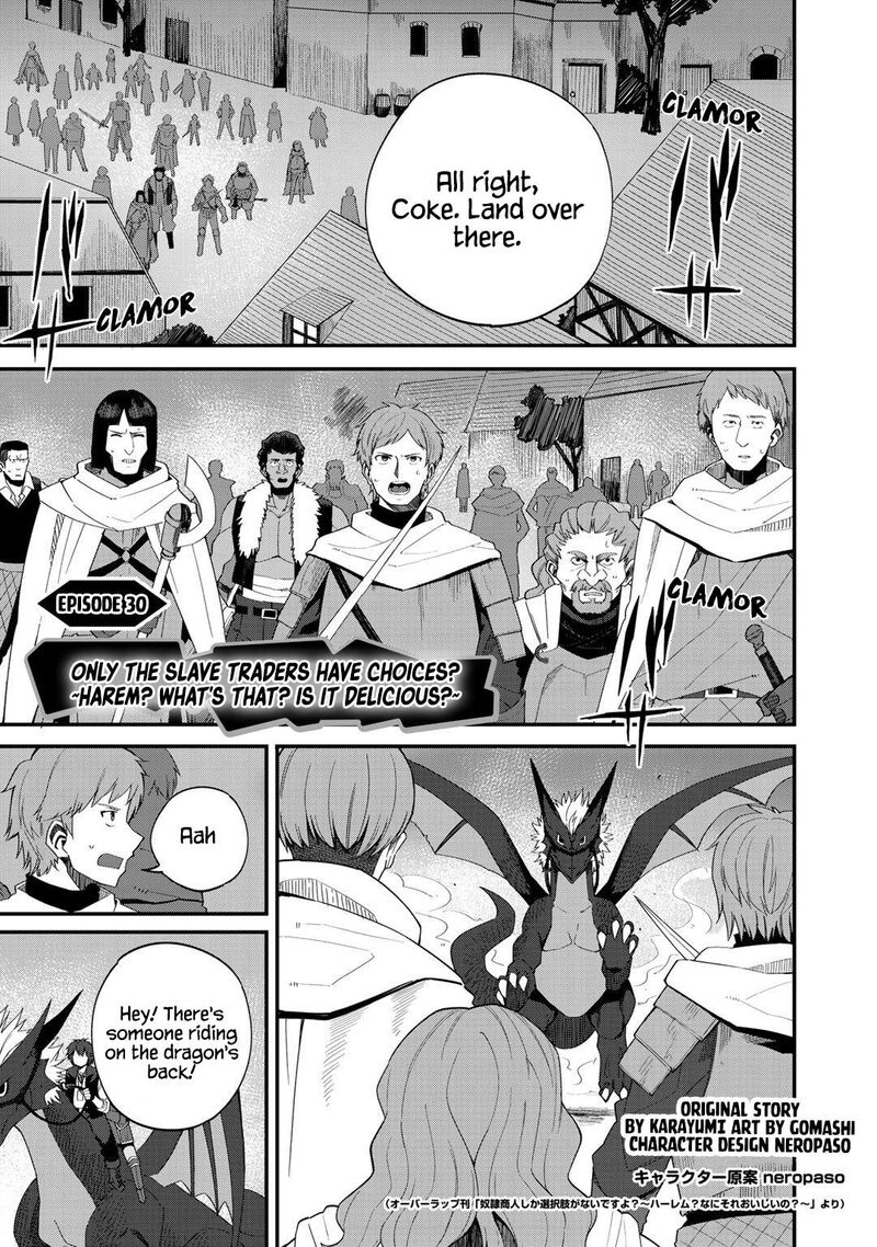 Dorei Shounin Shika Sentakushi Ga Nai Desu Yo Harem Nani Sore OishII No 30 1