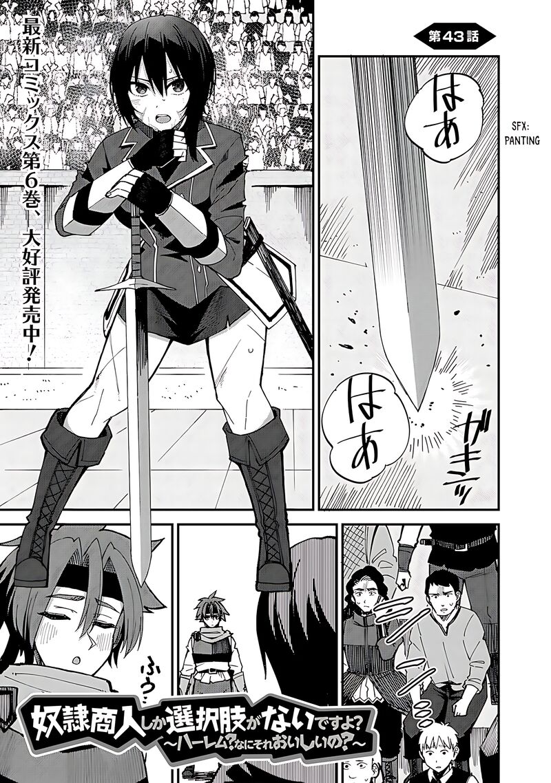 Dorei Shounin Shika Sentakushi Ga Nai Desu Yo Harem Nani Sore OishII No 43 2