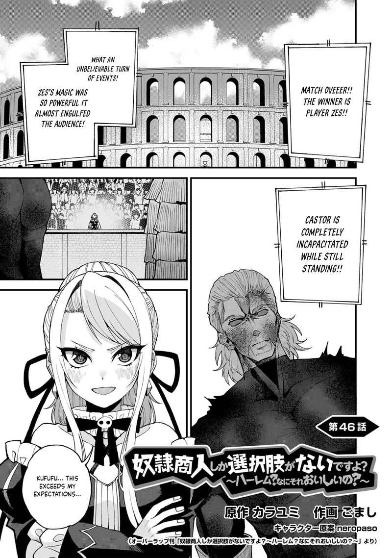 Dorei Shounin Shika Sentakushi Ga Nai Desu Yo Harem Nani Sore OishII No 46 2