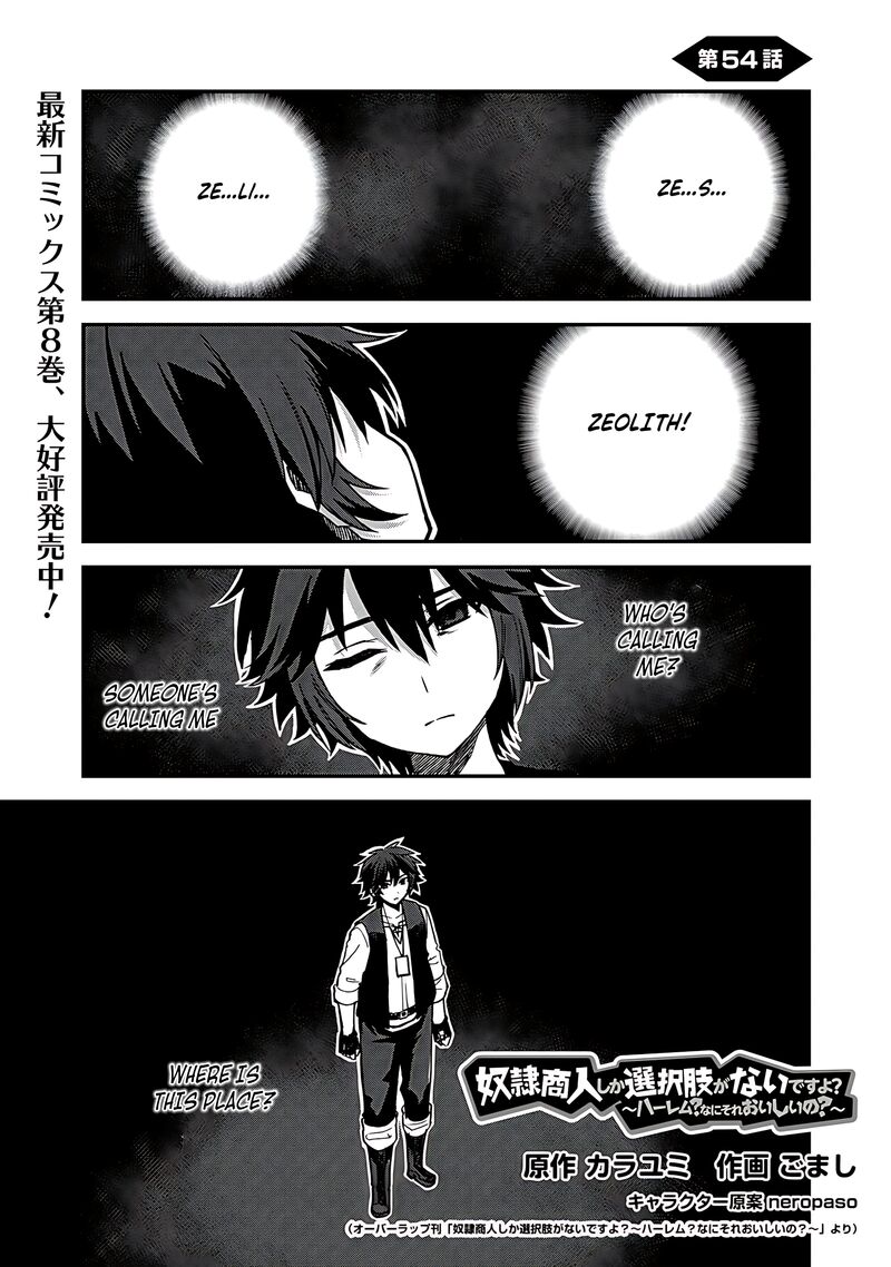Dorei Shounin Shika Sentakushi Ga Nai Desu Yo Harem Nani Sore OishII No 54 2