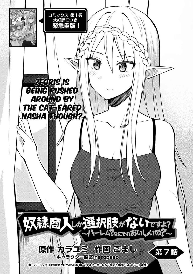 Dorei Shounin Shika Sentakushi Ga Nai Desu Yo Harem Nani Sore OishII No 7 3