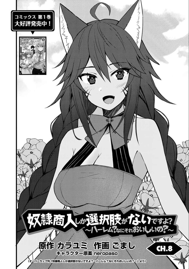 Dorei Shounin Shika Sentakushi Ga Nai Desu Yo Harem Nani Sore OishII No 9 3