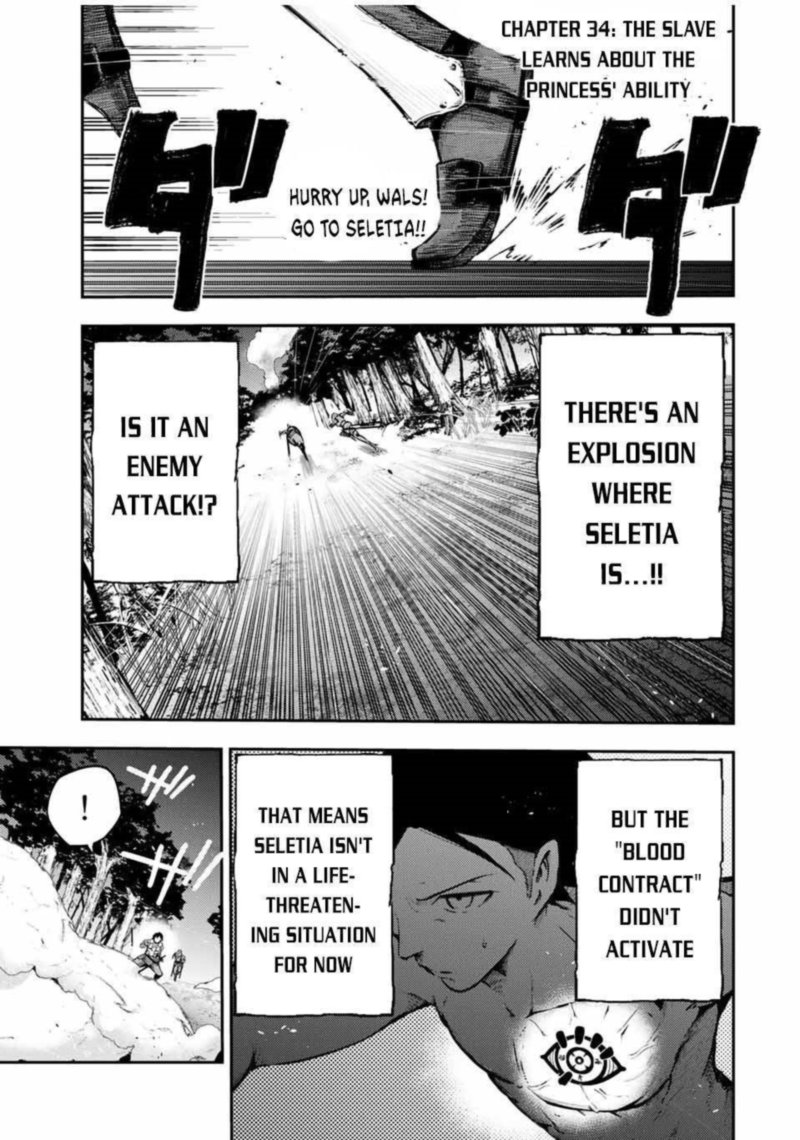Dorei Tensei Sono Dorei Saikyou No Moto Ouji Ni Tsuki 34 1