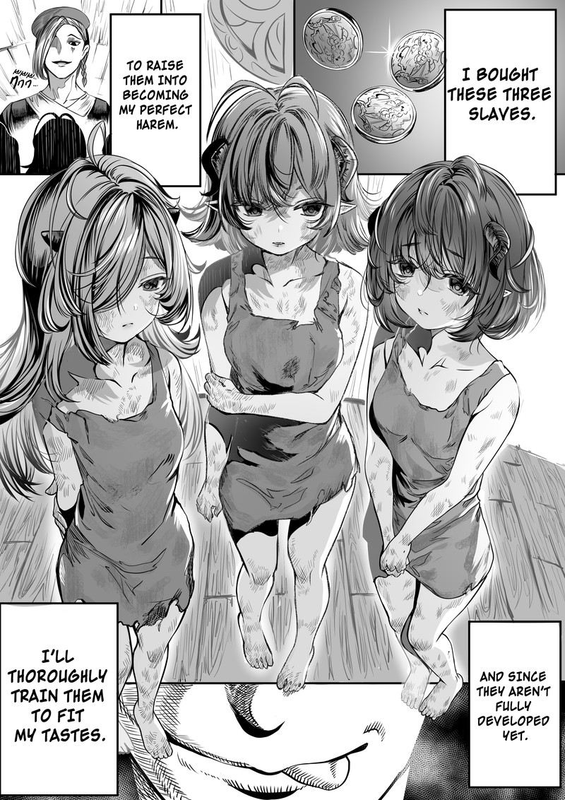 Dorei Wo Choukyoushite Harem Tsukuru 1 1