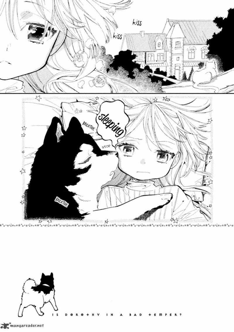 Dorothy Wa Gokigen Naname 3 6