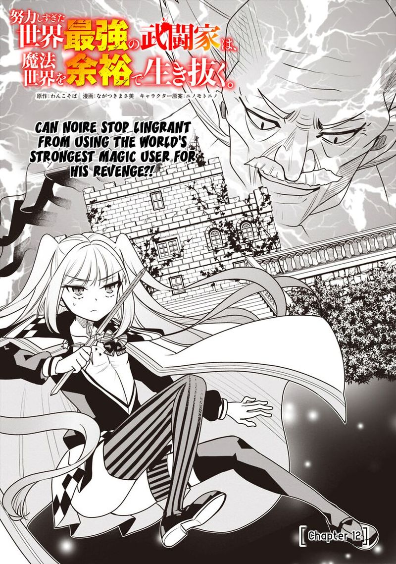 Doryoku Shisugita Sekai Saikyou No Butouka Ha Mahou Sekai Wo Yoyuu De Ikinuku 12 1