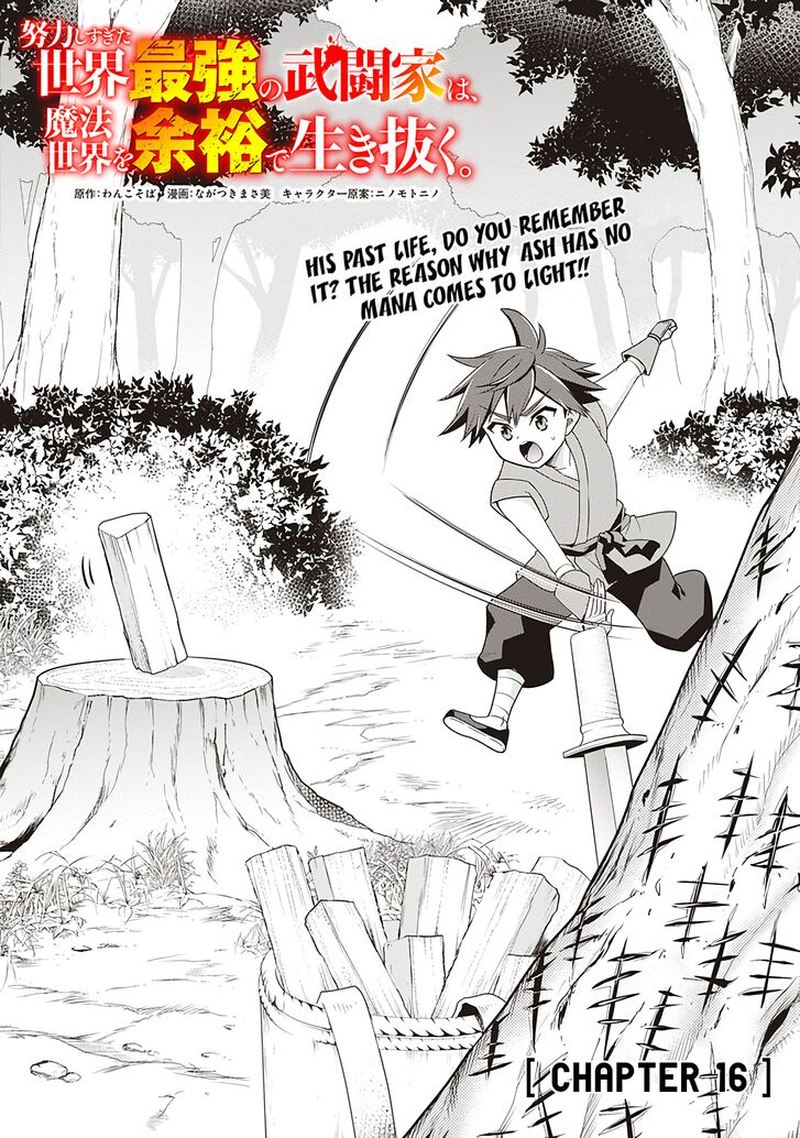 Doryoku Shisugita Sekai Saikyou No Butouka Ha Mahou Sekai Wo Yoyuu De Ikinuku 16 1