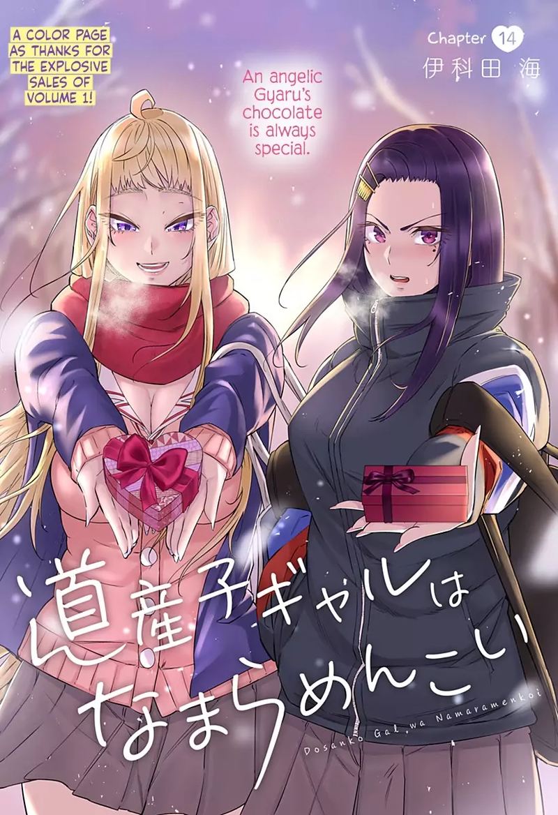 Dosanko Gyaru Ha Namaramenkoi 14 1