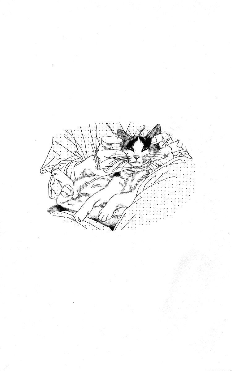 Doubutsu No Oishasan 100 5