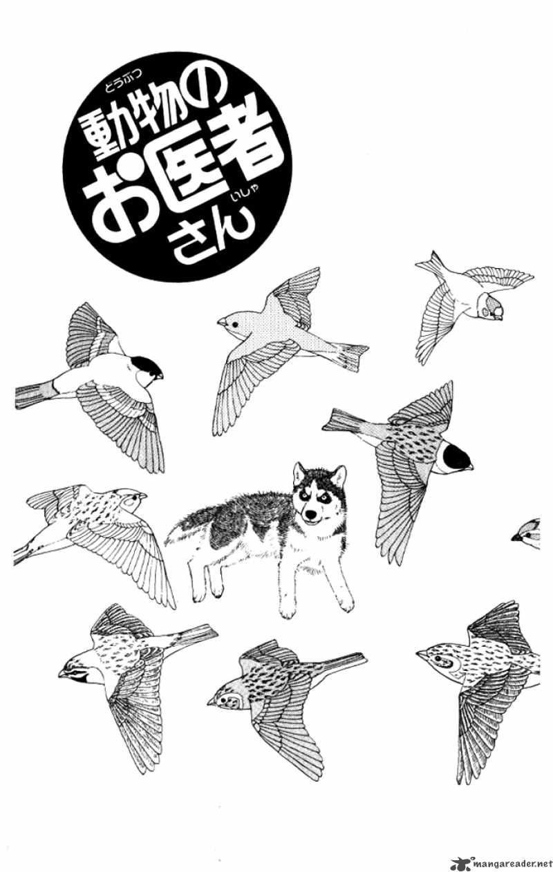 Doubutsu No Oishasan 13 1