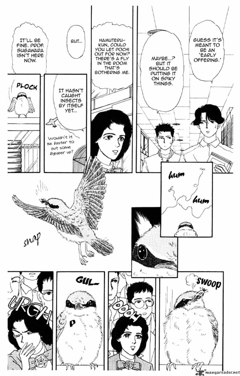 Doubutsu No Oishasan 13 12