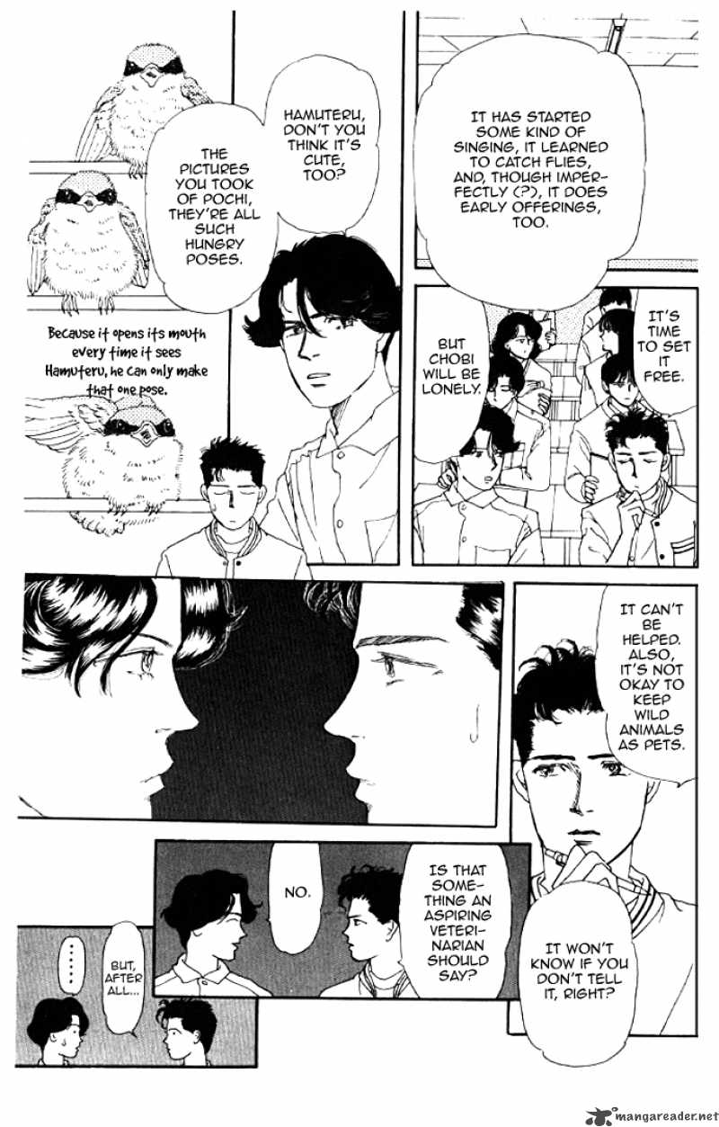Doubutsu No Oishasan 13 13