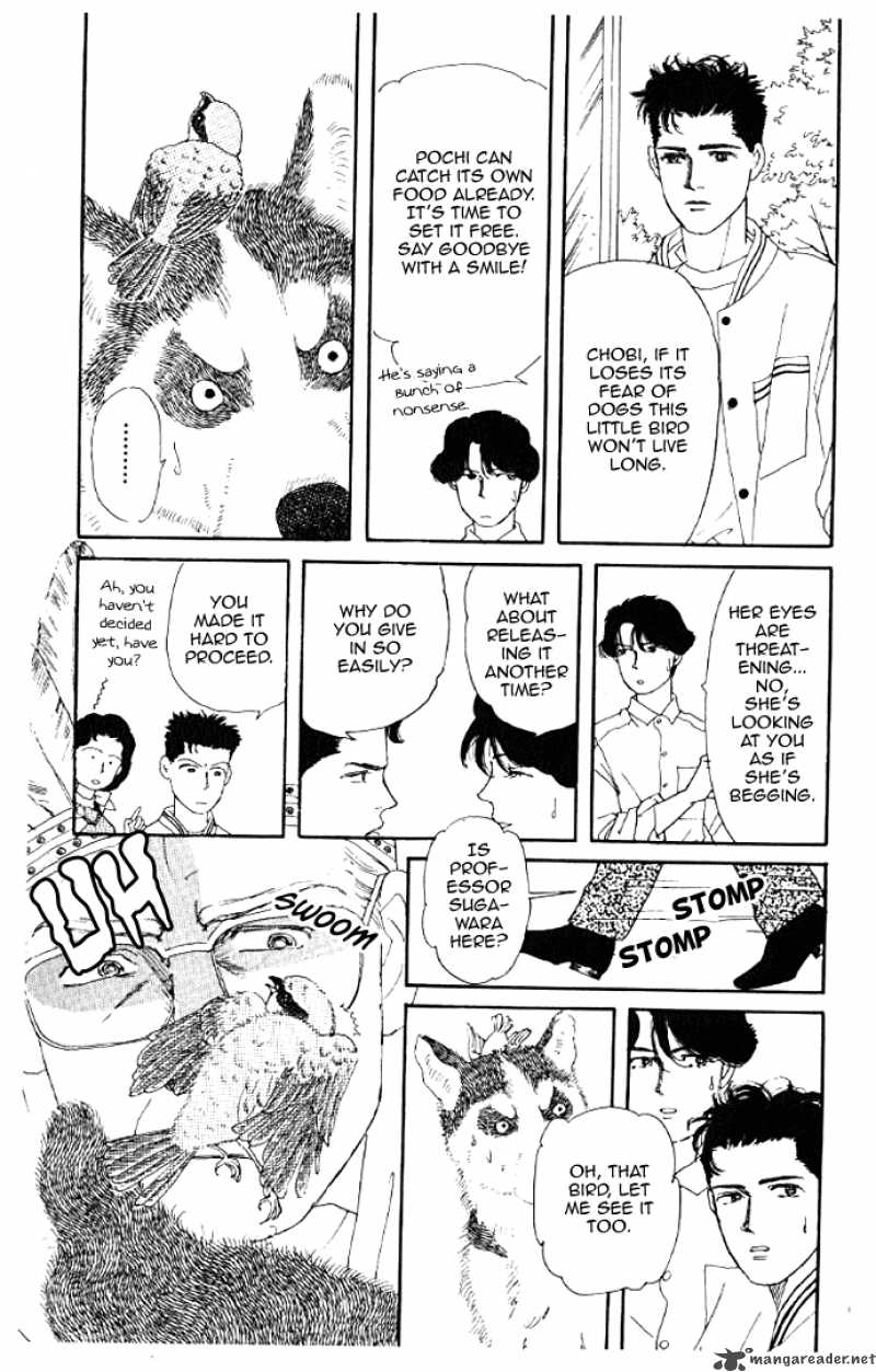 Doubutsu No Oishasan 13 15