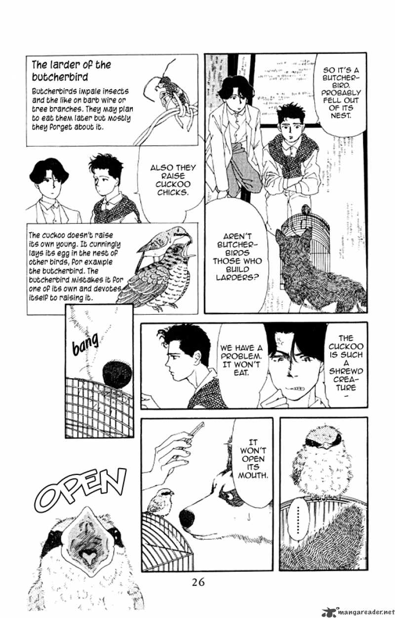 Doubutsu No Oishasan 13 4