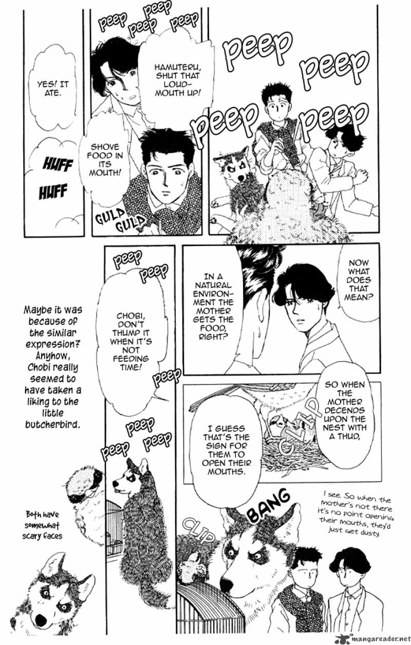 Doubutsu No Oishasan 13 5