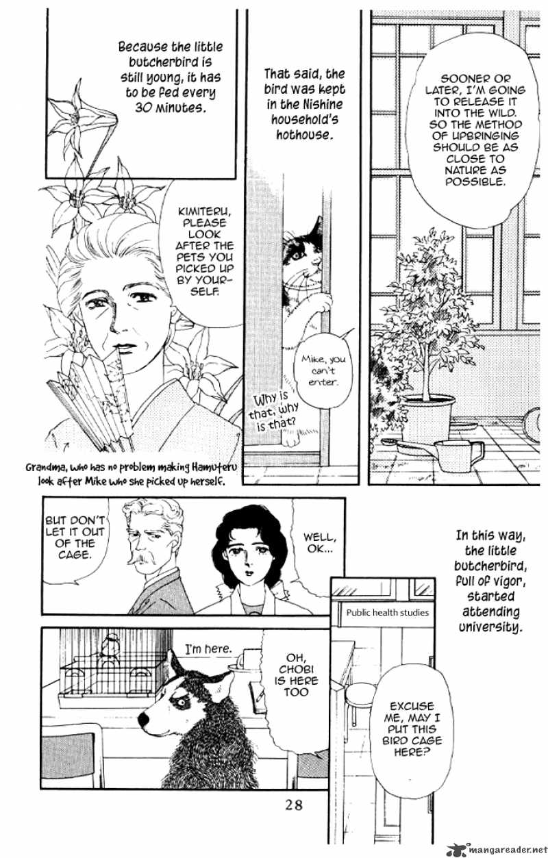 Doubutsu No Oishasan 13 6
