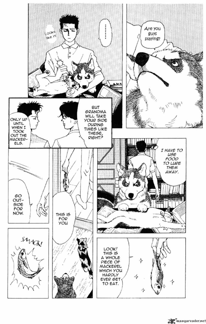 Doubutsu No Oishasan 14 8