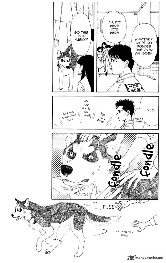 Doubutsu No Oishasan 19 9
