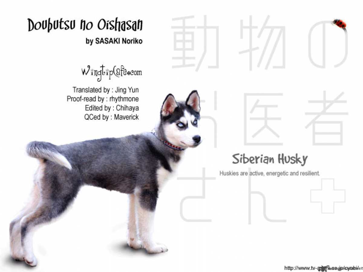 Doubutsu No Oishasan 2 17