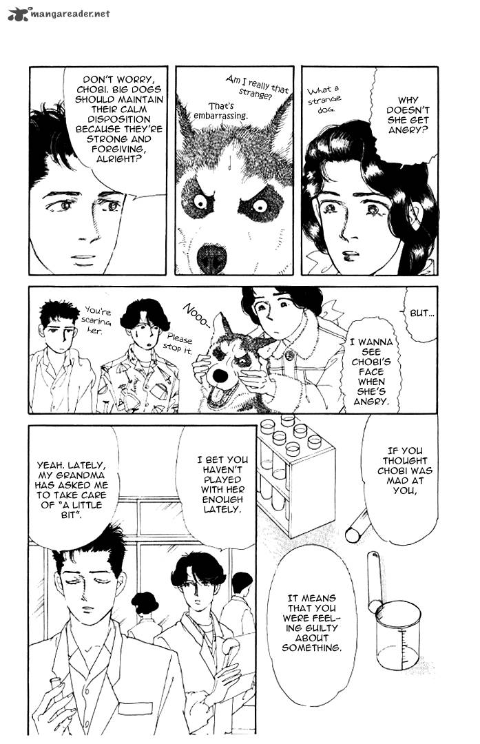 Doubutsu No Oishasan 20 5