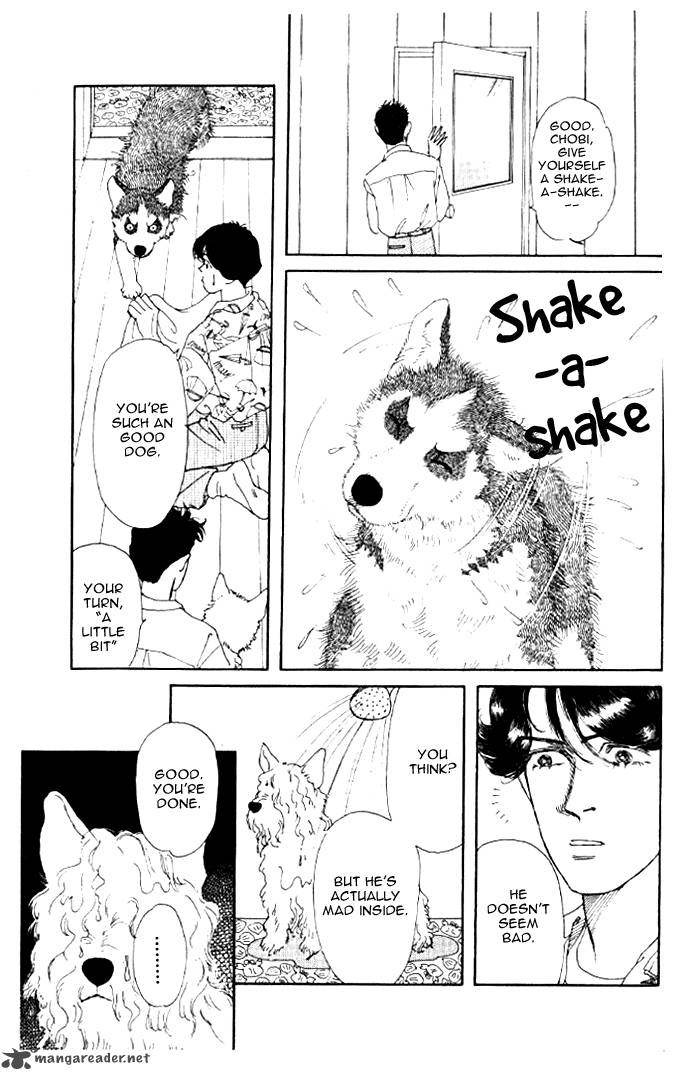 Doubutsu No Oishasan 20 8