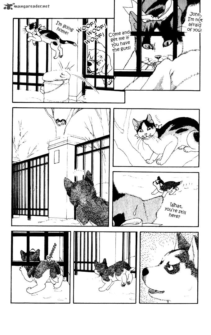 Doubutsu No Oishasan 26 14