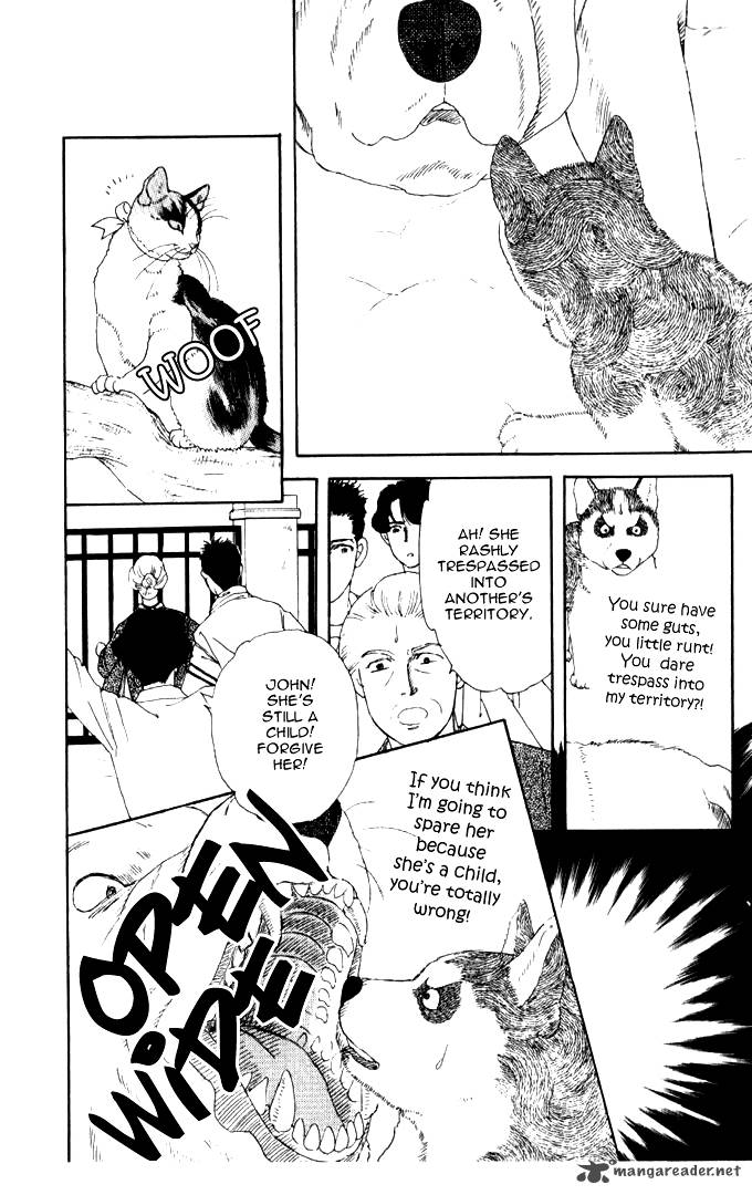 Doubutsu No Oishasan 26 15