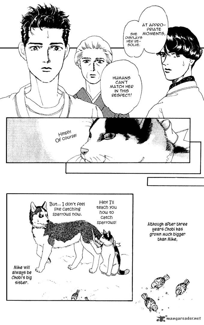 Doubutsu No Oishasan 26 19
