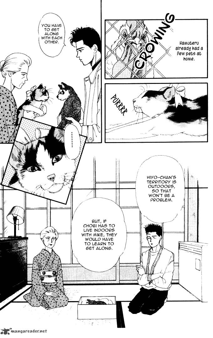 Doubutsu No Oishasan 26 4