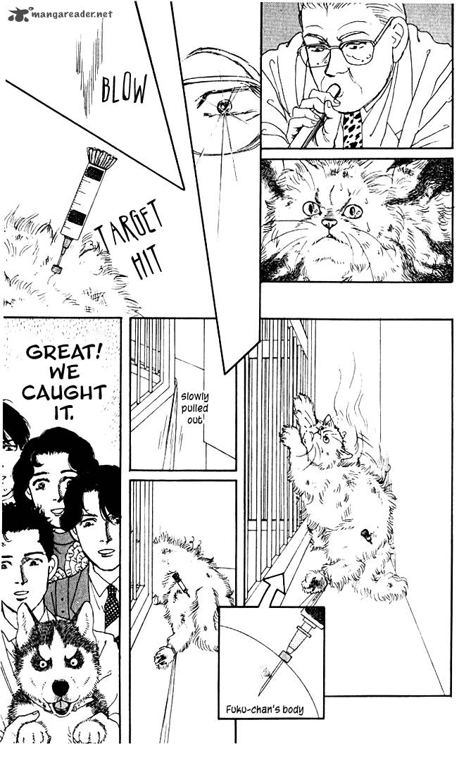 Doubutsu No Oishasan 28 19