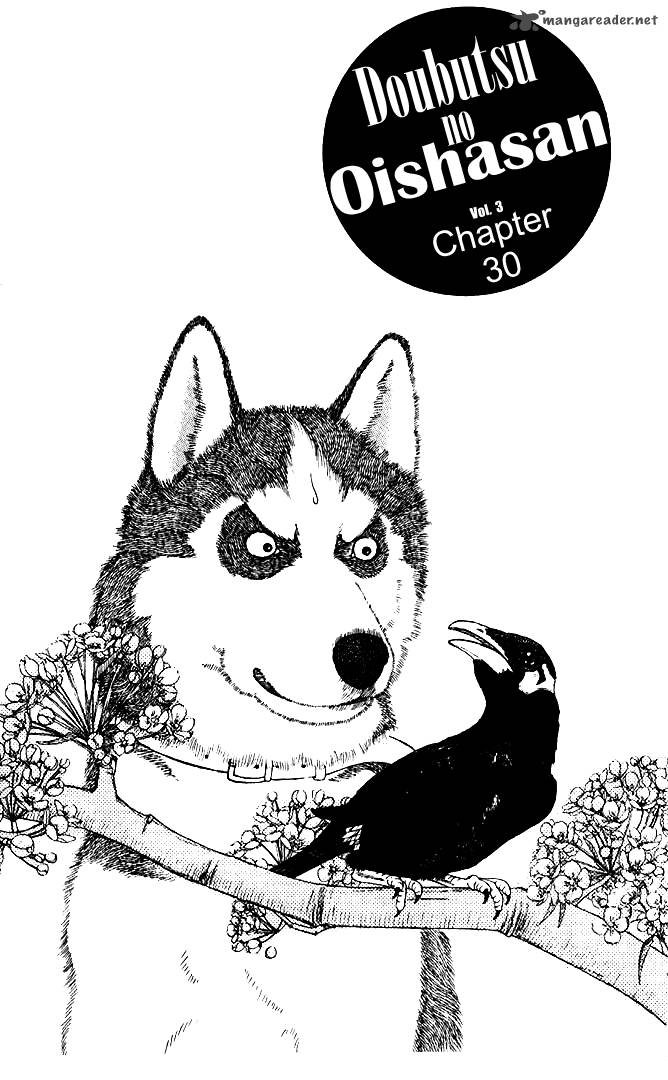 Doubutsu No Oishasan 30 2