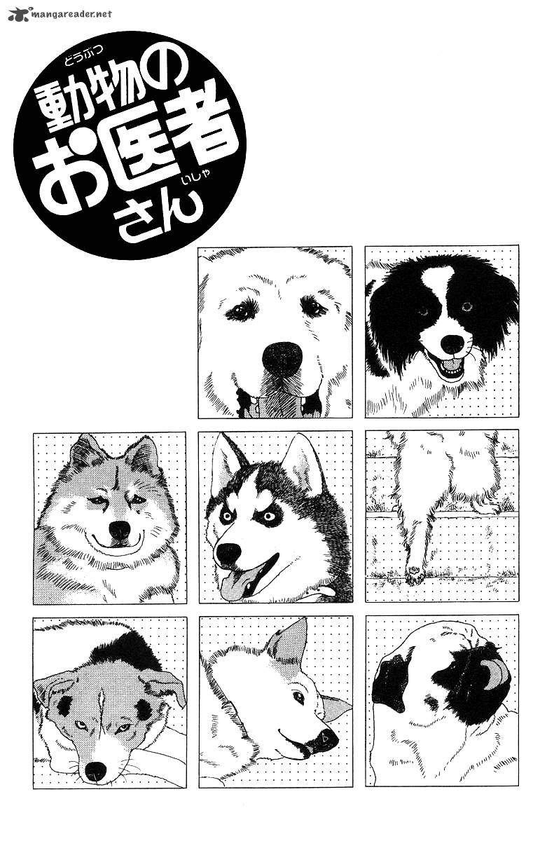 Doubutsu No Oishasan 33 3