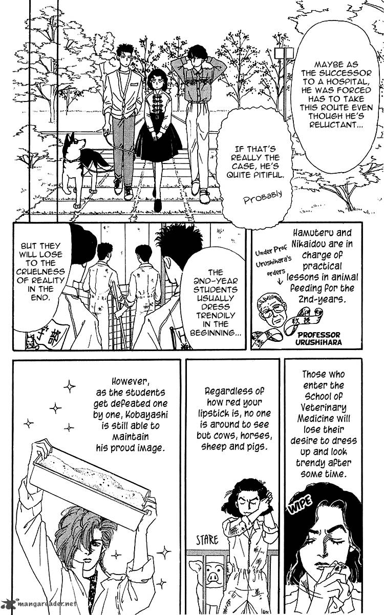 Doubutsu No Oishasan 41 7