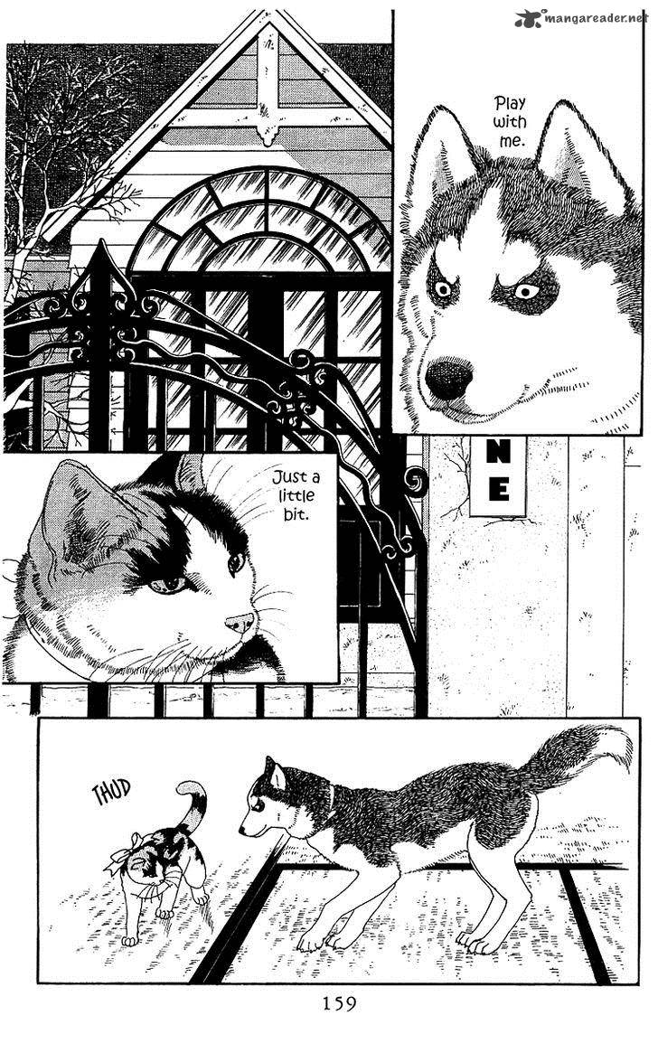 Doubutsu No Oishasan 42 3