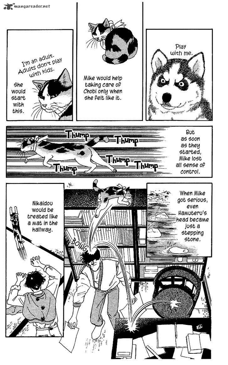 Doubutsu No Oishasan 42 8