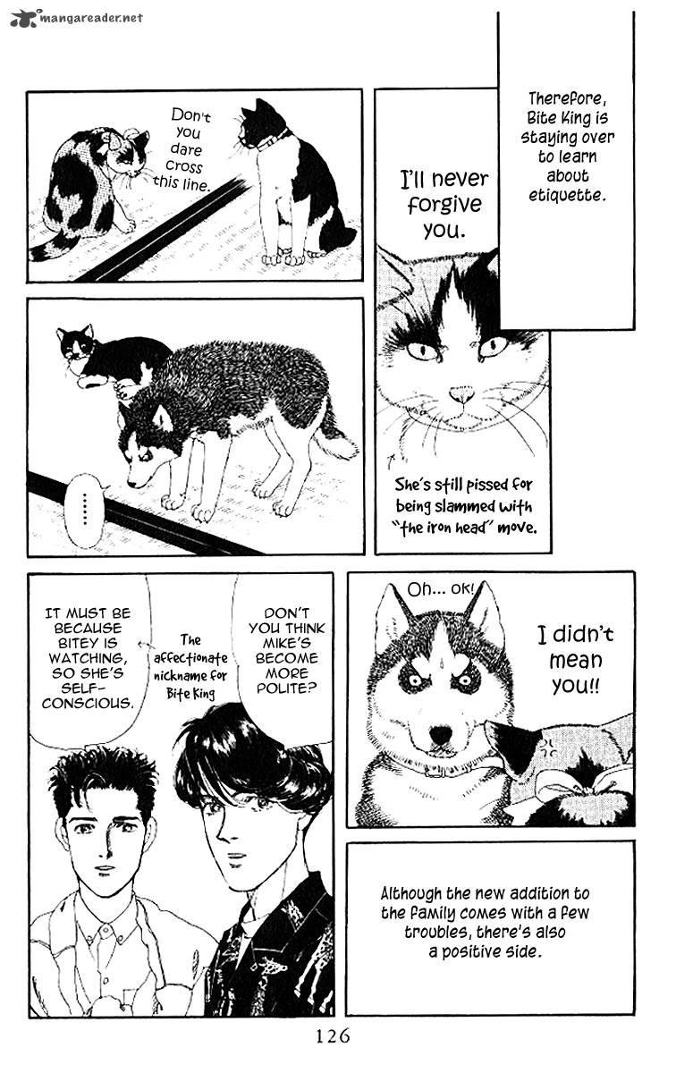 Doubutsu No Oishasan 50 10