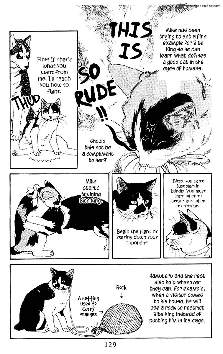 Doubutsu No Oishasan 50 13