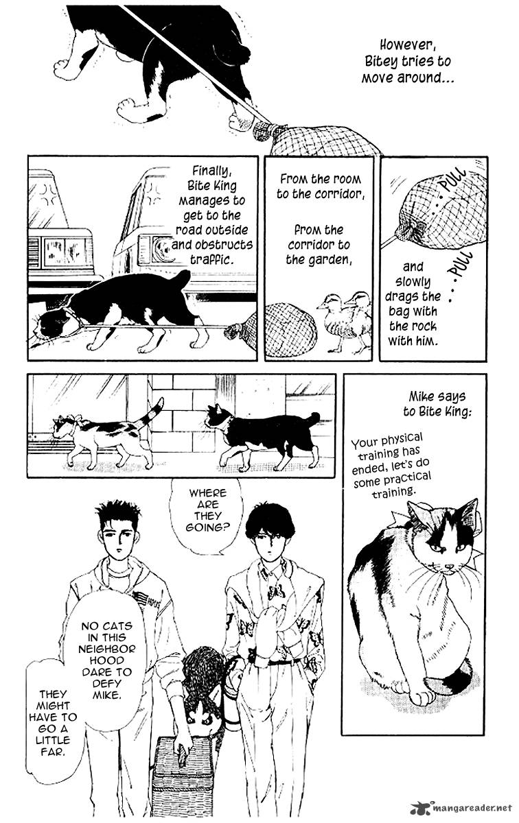 Doubutsu No Oishasan 50 14