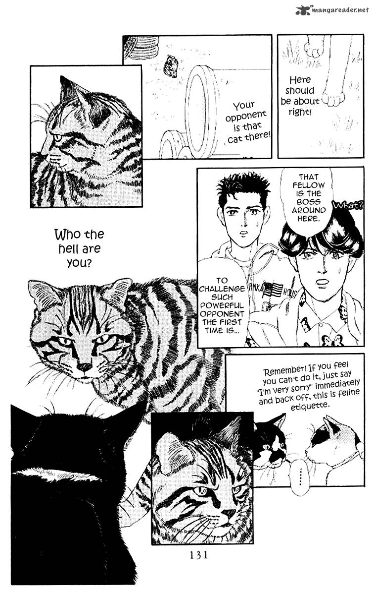Doubutsu No Oishasan 50 15