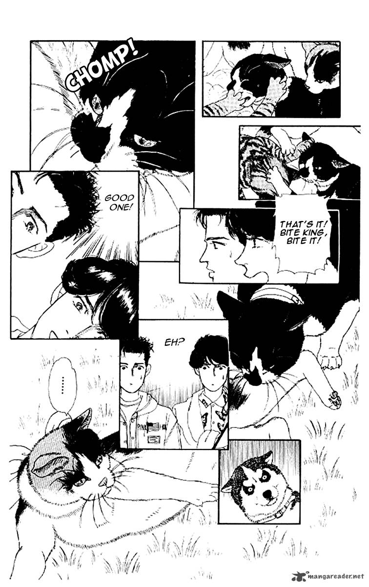Doubutsu No Oishasan 50 18