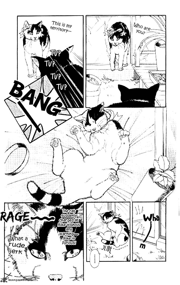 Doubutsu No Oishasan 50 6