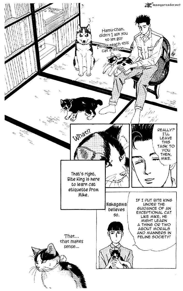 Doubutsu No Oishasan 50 9