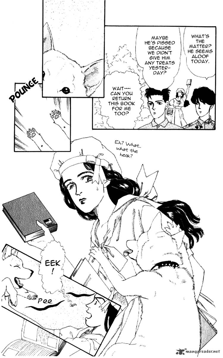 Doubutsu No Oishasan 52 12