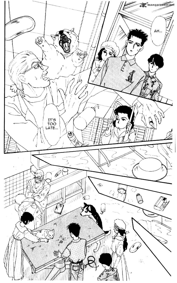 Doubutsu No Oishasan 52 17